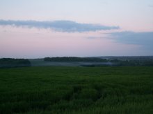Evening at the Avian / ***