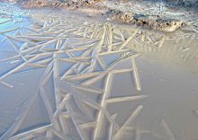 Geometry of Nature / ***