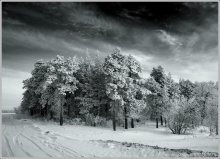 Harsh February / ***