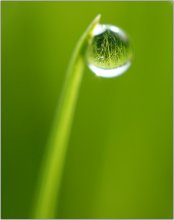Makrowelt / ***
