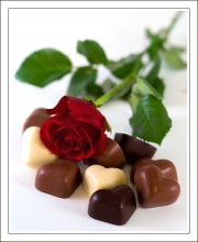 Your favorite .. / ***