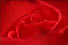 On the red soft ... / ***