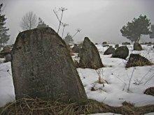Wind ist auf dem Friedhof Pfeifen / ***