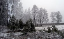 winter dusk-2 / -------