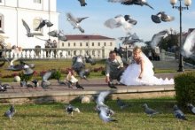 Pigeons / ***