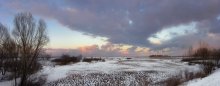 Evening, February 19 / ***