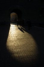 in Novosibirsk. / ***