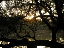 Morning during high tide / ***
