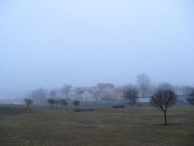 Foggy / ***