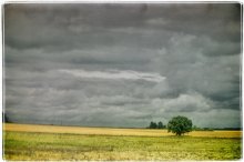 Untitled / ***