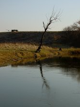 Thaw / ***