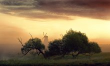 Son of Don Quixote / ***
