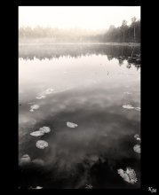 Morning / .............