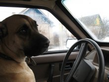 'Oh let's ride! / ***