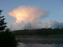 Vigorous cloud / ***