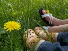 Freundschaft ... / ***