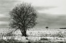 Sentinel / ***