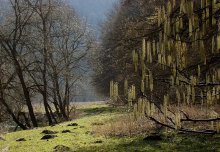 Spring has come / ***