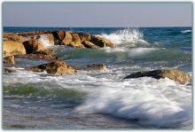 Sea spray / ***
