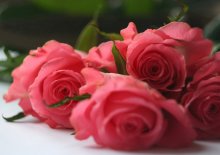 Tenderness / ***