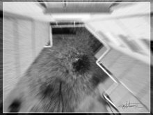 3 seconds of life / ***