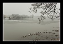 Winter evening. / ***