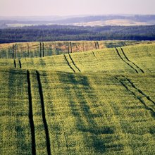 Okolominskie Hills / ***