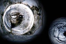 cosmic world of ice / ***