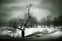 Arrow of time / ***
