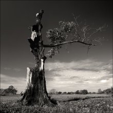 so want to live ... # 2 / ***
