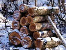 Firewood / ***