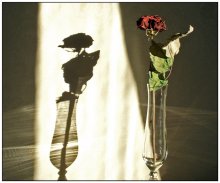 Light and shadow / ***