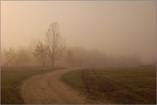 Pink mist / D50
