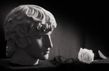 Apollo / ***