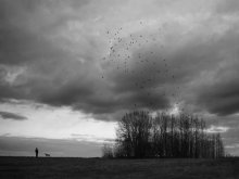 dreams of freedom / ***