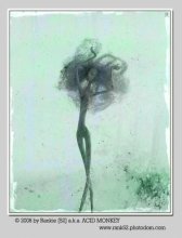 SOFT GREEN DANCING TREE / ***