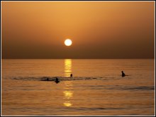 Bathing in sunset gold / ...