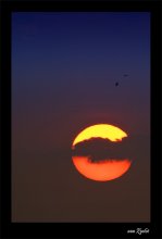 Sleeping sun / ***