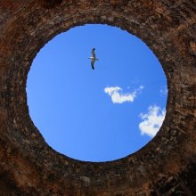 Eye of the sky or the Philosophy of Tolstoy:) " / ***