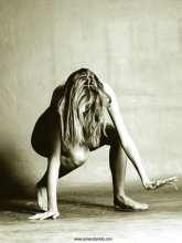 wolf dancer / wolf dancer