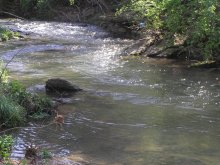 Running water / ***