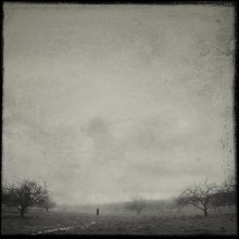 around / ***