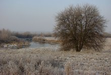 Over the River / ***