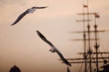 Seeing the sunset over the masts of the frigate / ***