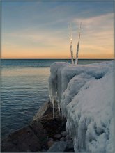 Arctic / ...