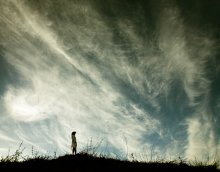 sky (around) / .........