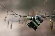 Auto stop until spring ..... / ***