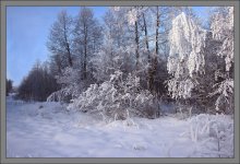 Winter Landscape / ***