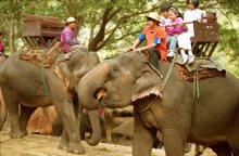  / At the Mae Sa Elephant Camp