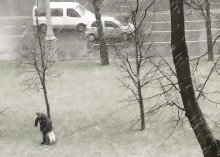 snow / *(*